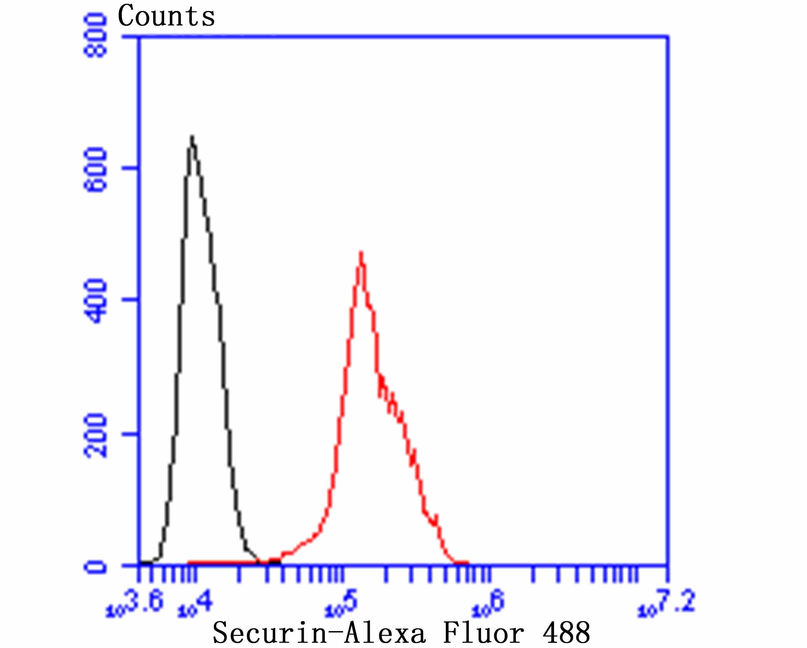 Anti-Securin Antibody (7P480)