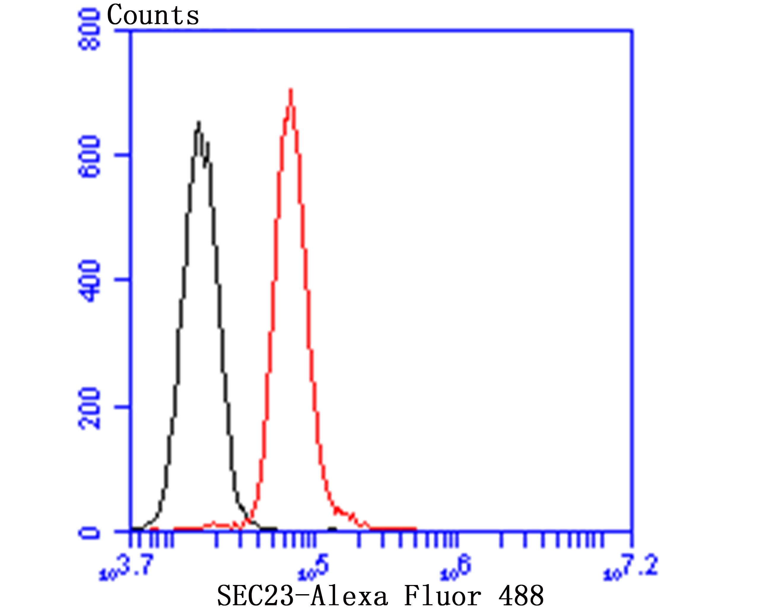 Anti-SEC23 Antibody (4Q432)