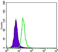 Anti-Mammaglobin-A/SCGB2A2 Antibody (6Q916)
