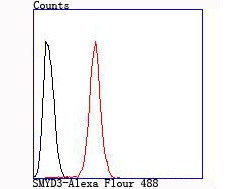 Anti-SMYD3 Antibody (2M615)