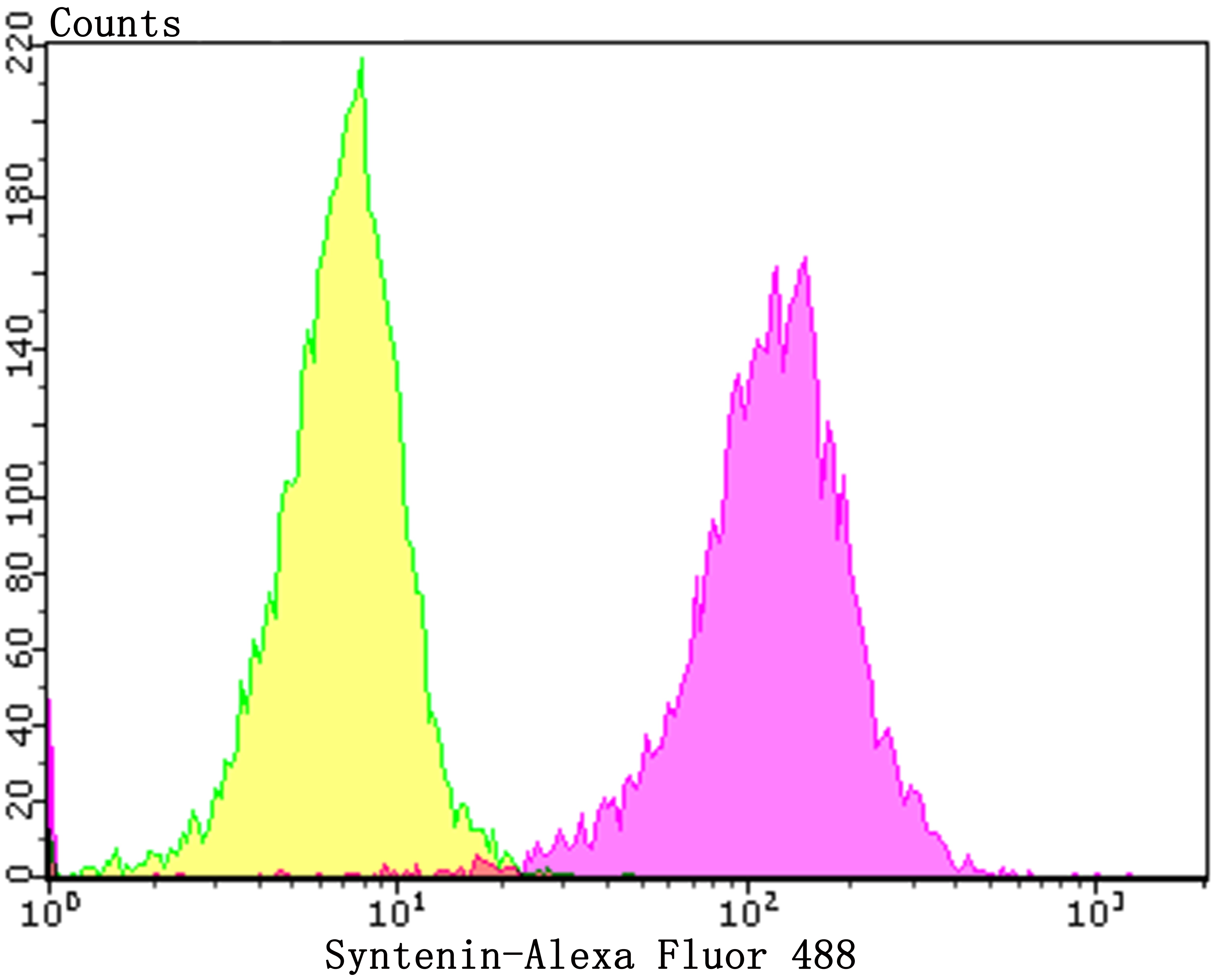 Anti-SDCBP Antibody (1Q650)