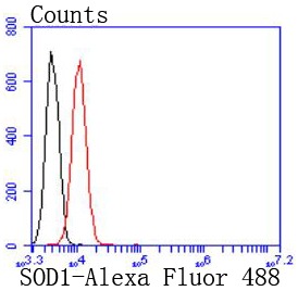 Anti-SOD1 Antibody (4Y683)
