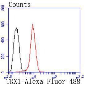 Anti-Thioredoxin/TRX Antibody (2M628)
