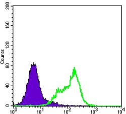 Anti-THAP11 Antibody (8P657)
