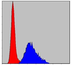 Anti-TNNI2 Antibody (1Z708)