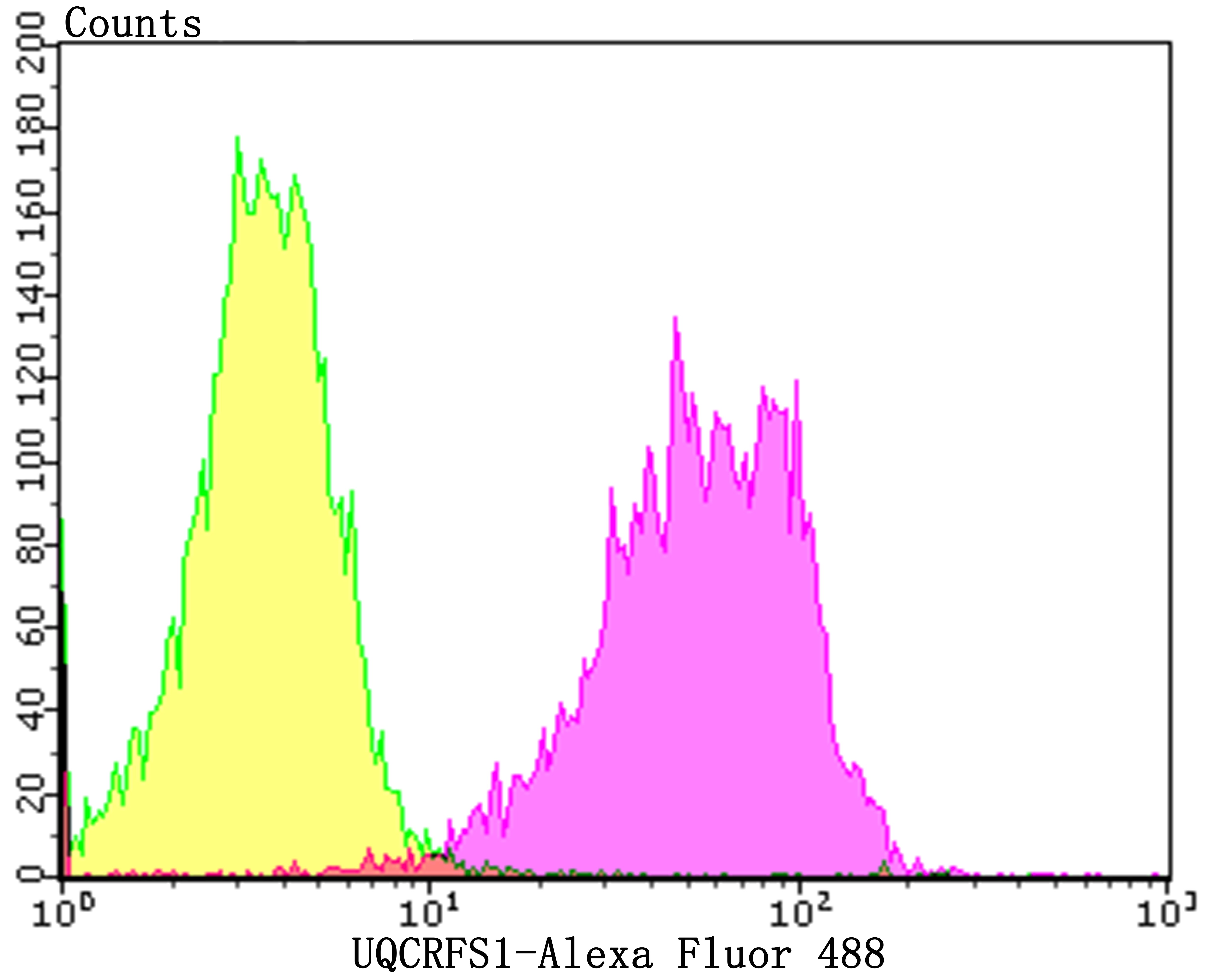 Anti-UQCRFS1 Antibody (8G153)