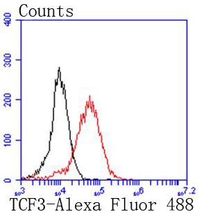 Anti-TCF3 Antibody (4S132)
