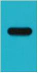 Anti-Strep II Tag Antibody (3B421)