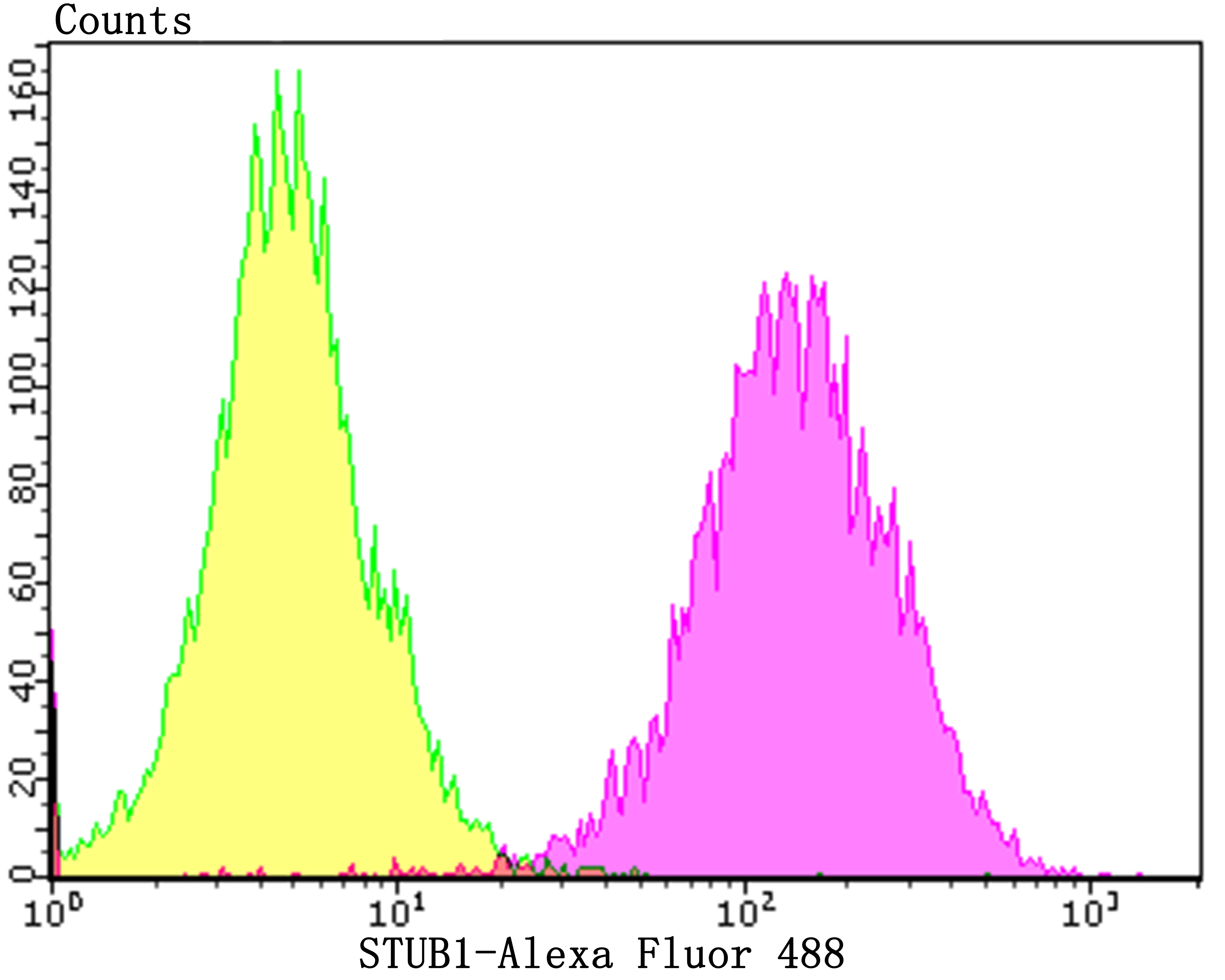 Anti-STUB1 Antibody (5M430)