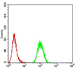Anti-SK2 Antibody (4K957)