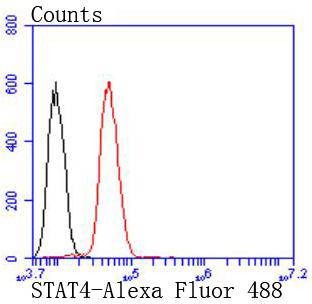 Anti-STAT4 Antibody (9R238)