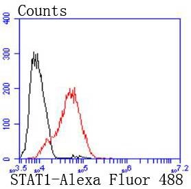 Anti-STAT1 Antibody (1H714)