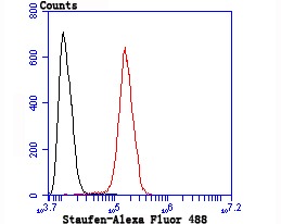 Anti-Staufen Antibody (9G746)