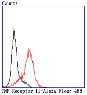 Anti-TNF RII Antibody (5O99)