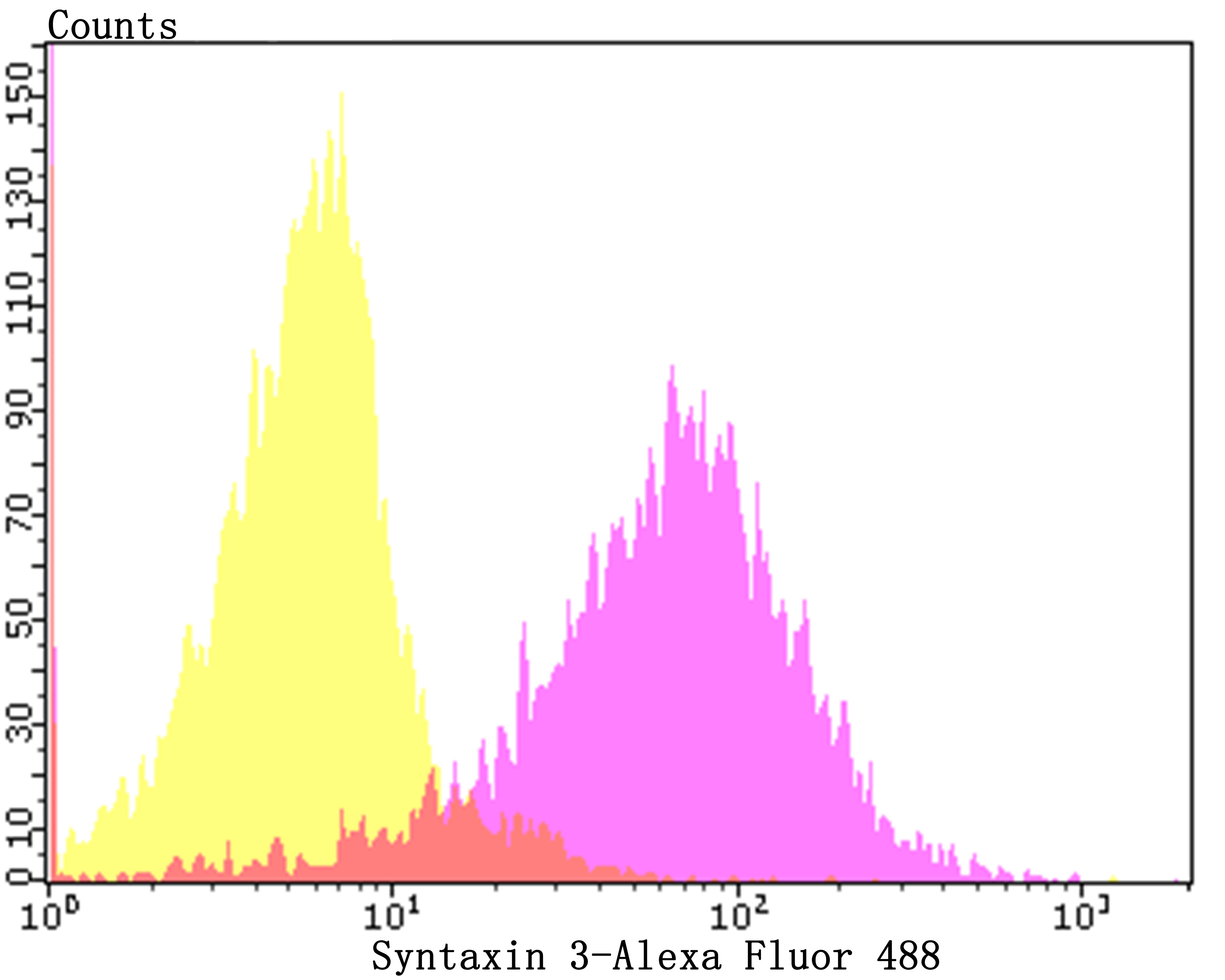 Anti-Syntaxin 3 Antibody (9E78)