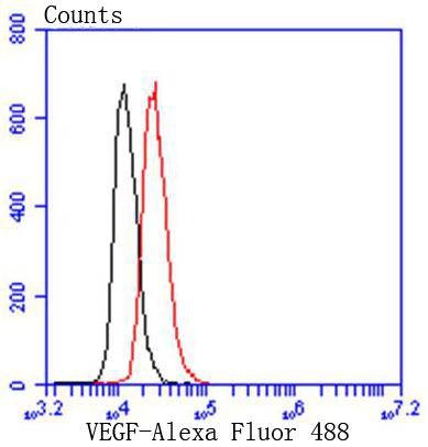 Anti-VEGFA Antibody (8D813)