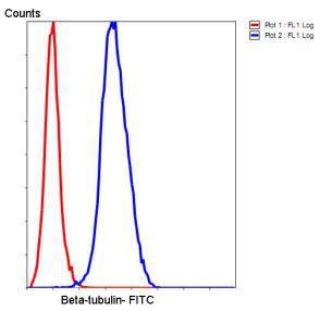 Anti-TUBB Antibody (8X869)