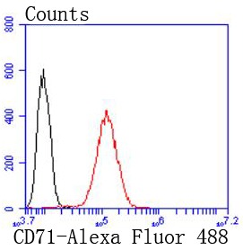 Anti-Transferrin Receptor/TFRC Antibody (4M349)