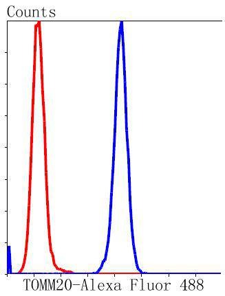Anti-TOMM20 Antibody (6C702)