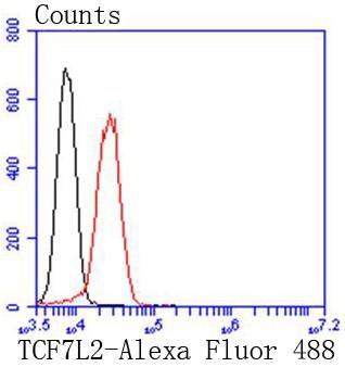 Anti-TCF7L2 Antibody (8D555)