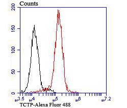 Anti-TCTP/TPT1 Antibody (7X932)