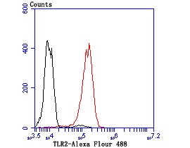 Anti-TLR2 Antibody (7H593)
