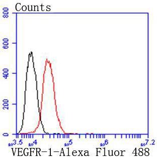 Anti-FLT1 Antibody (9B367)