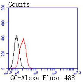 Anti-VDB Antibody (2T657)