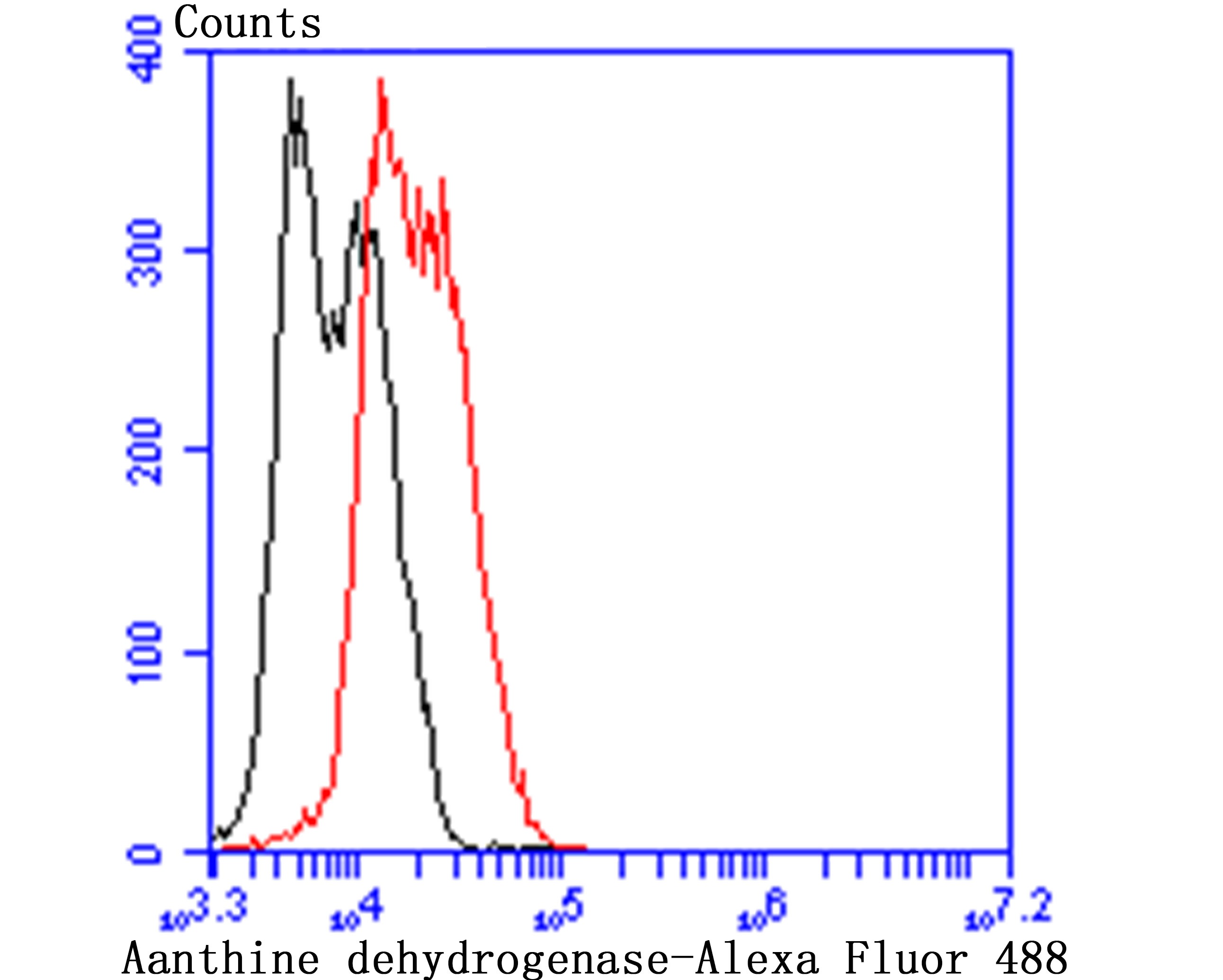 Anti-XDH Antibody (4C20)