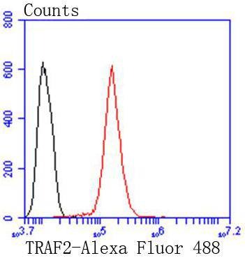 Anti-TRAF2 Antibody (6B229)