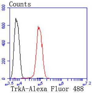 Anti-TrkA Antibody (8K93)