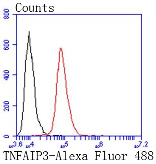 Anti-TNFAIP3 Antibody (3Z618)