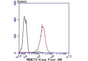 Anti-Sting Antibody (5Y781)