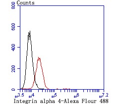 Anti-Integrin alpha 4 Antibody (6M673)