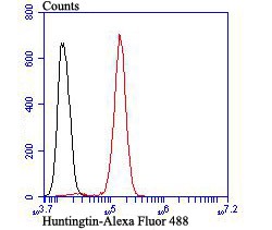 Anti-HTT Antibody (6D662)