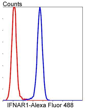 Anti-IFNAR1 Antibody (1R657)