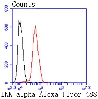 Anti-IKBKA Antibody (4P589)
