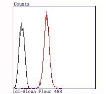 Anti-ID1 Antibody (6Z914)