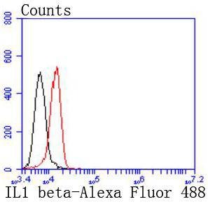 Anti-IL-1 beta/IL-1F2 Antibody (7U755)