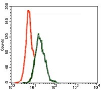 Anti-INCENP Antibody (3Z349)