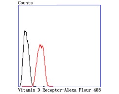 Anti-Vitamin D Receptor/VDR Antibody (5D259)