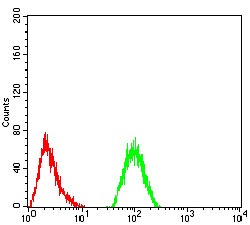 Anti-IL-1RAPL1 Antibody (6Q74)