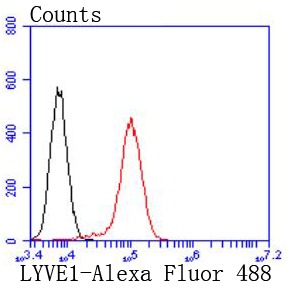 Anti-LYVE1 Antibody (3Z624)