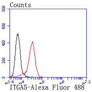 Anti-ITGA5 Antibody (5F909)