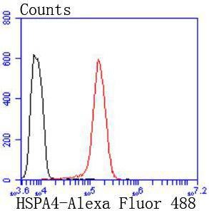 Anti-HSPA4 Antibody (7T809)