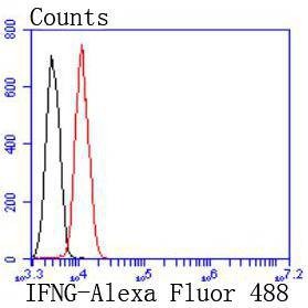 Anti-IFN gamma Antibody (1T875)