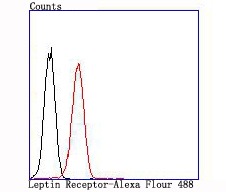 Anti-LEPR Antibody (5J993)