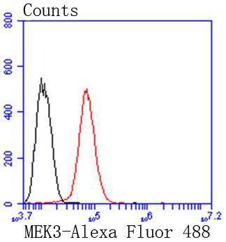 Anti-MAP2K3 Antibody (1S917)