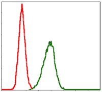 Anti-BPIFB1 Antibody (7V287)