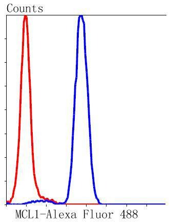 Anti-Mcl-1 Antibody (6C872)